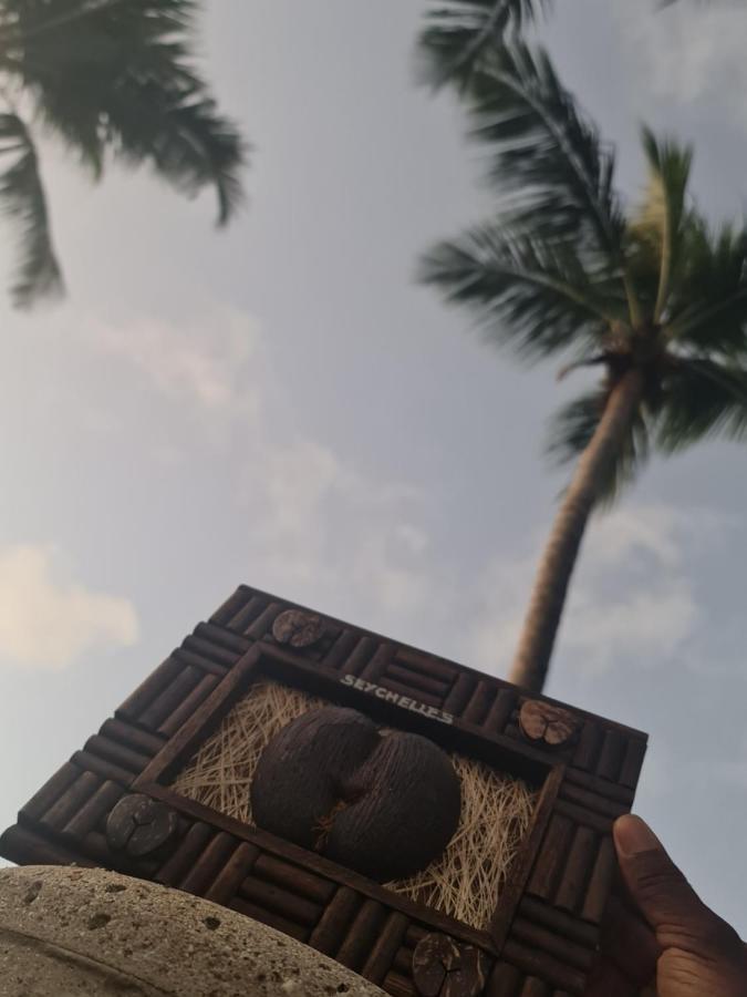 Hotel Ocean Jewels Grand Anse  Exteriér fotografie